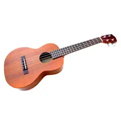 ALAGUEZ - UKELELE 21P CON BOLSO
