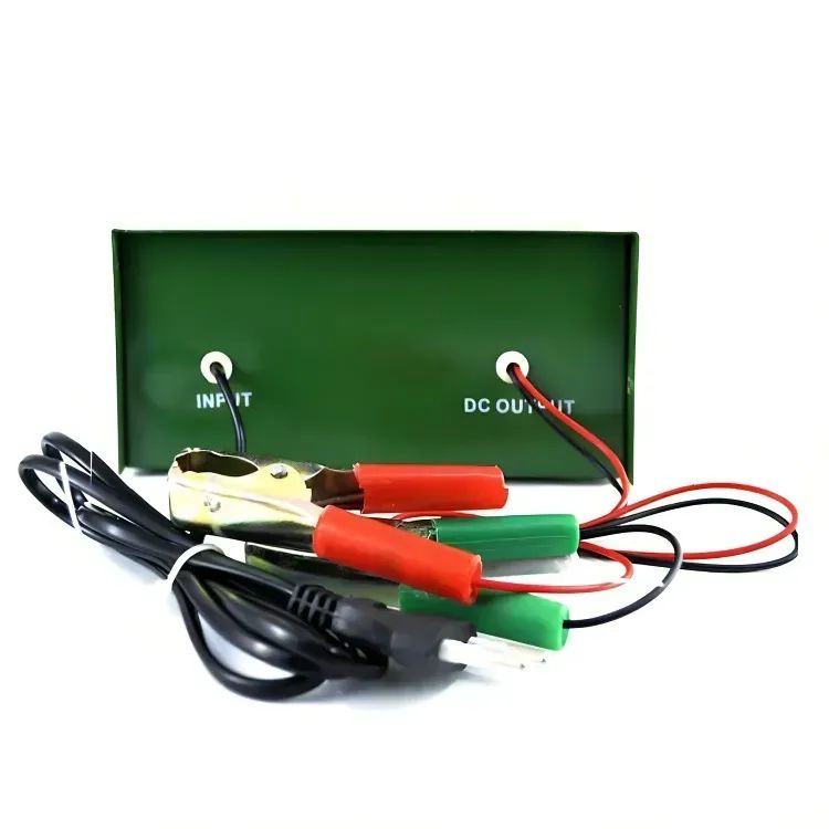 Cargador De Bateria 12v Y 6v Auto