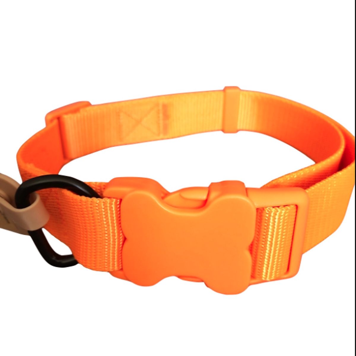 GENERICO - Collar para perro mediano