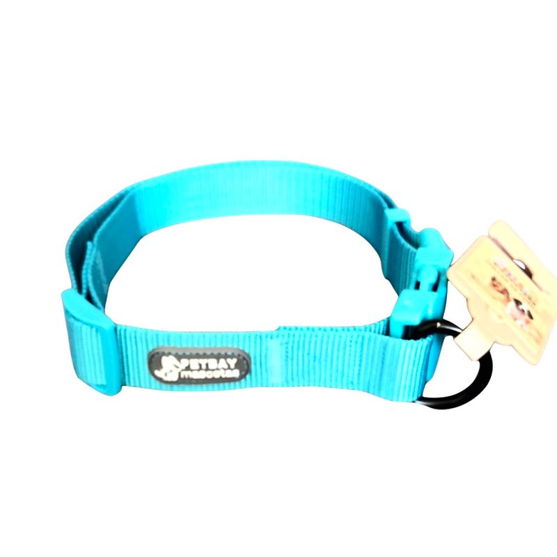 GENERICO - Collar para perro mediano Fluor