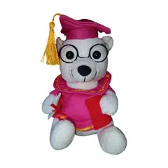 GENERICO - Osito Graduado, Peluche De Graduación, Oso rosa 20 cm.