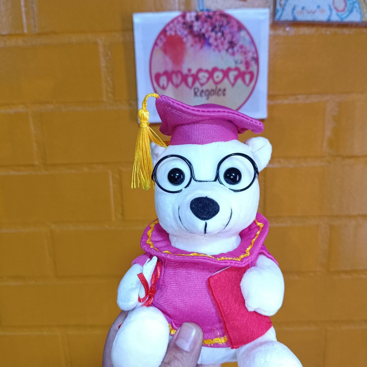 GENERICO - Osito Graduado, Peluche De Graduación, Oso rosa 20 cm.