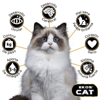 Imagen 2 del producto Alimento EkosCat gato adulto 16Kg