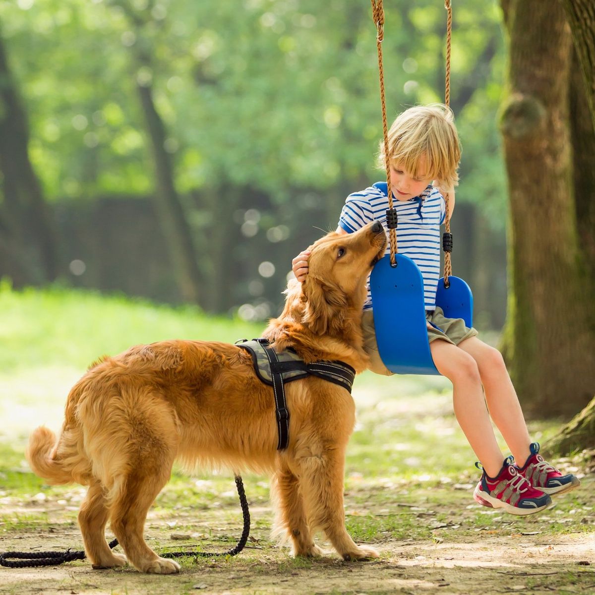 HOBBY MARKET - Columpio Azul con cuerda
