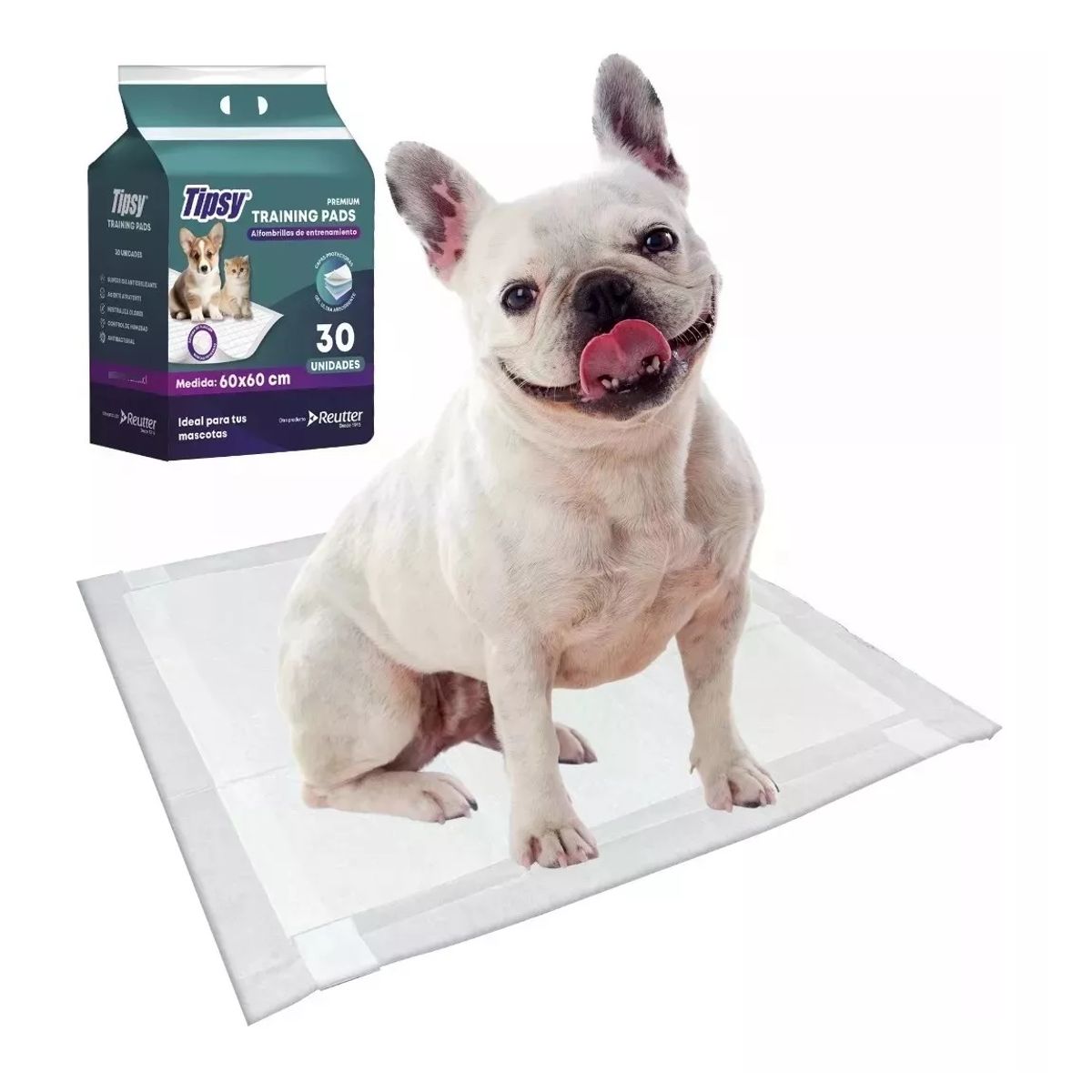 GENERICO - Sabanilla Alfombra Entrenamiento Para Mascota 60x60cm 30 Uni