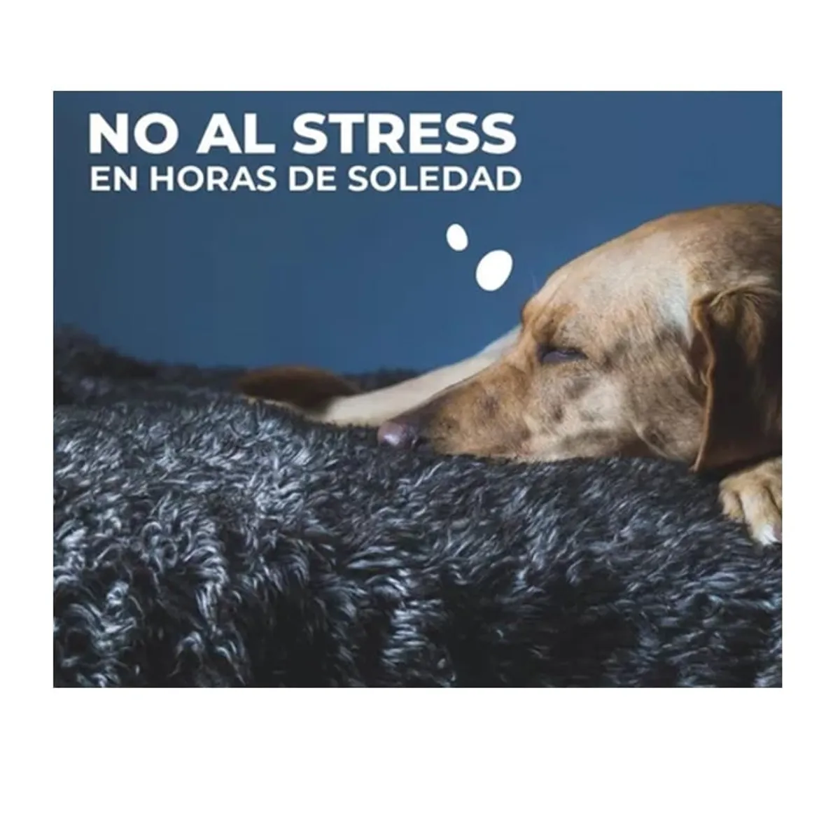 GENERICO - Cama antiestrés 110 cms Color GREIGE para Razas Grandes