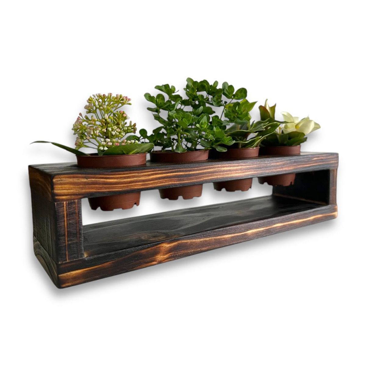 GENERICO - Porta macetero de 4 espacios para suculentas en madera quemada