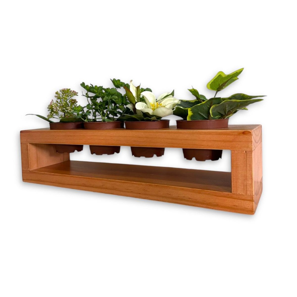 GENERICO - Porta macetero de 4 espacios para suculentas en madera color lenga