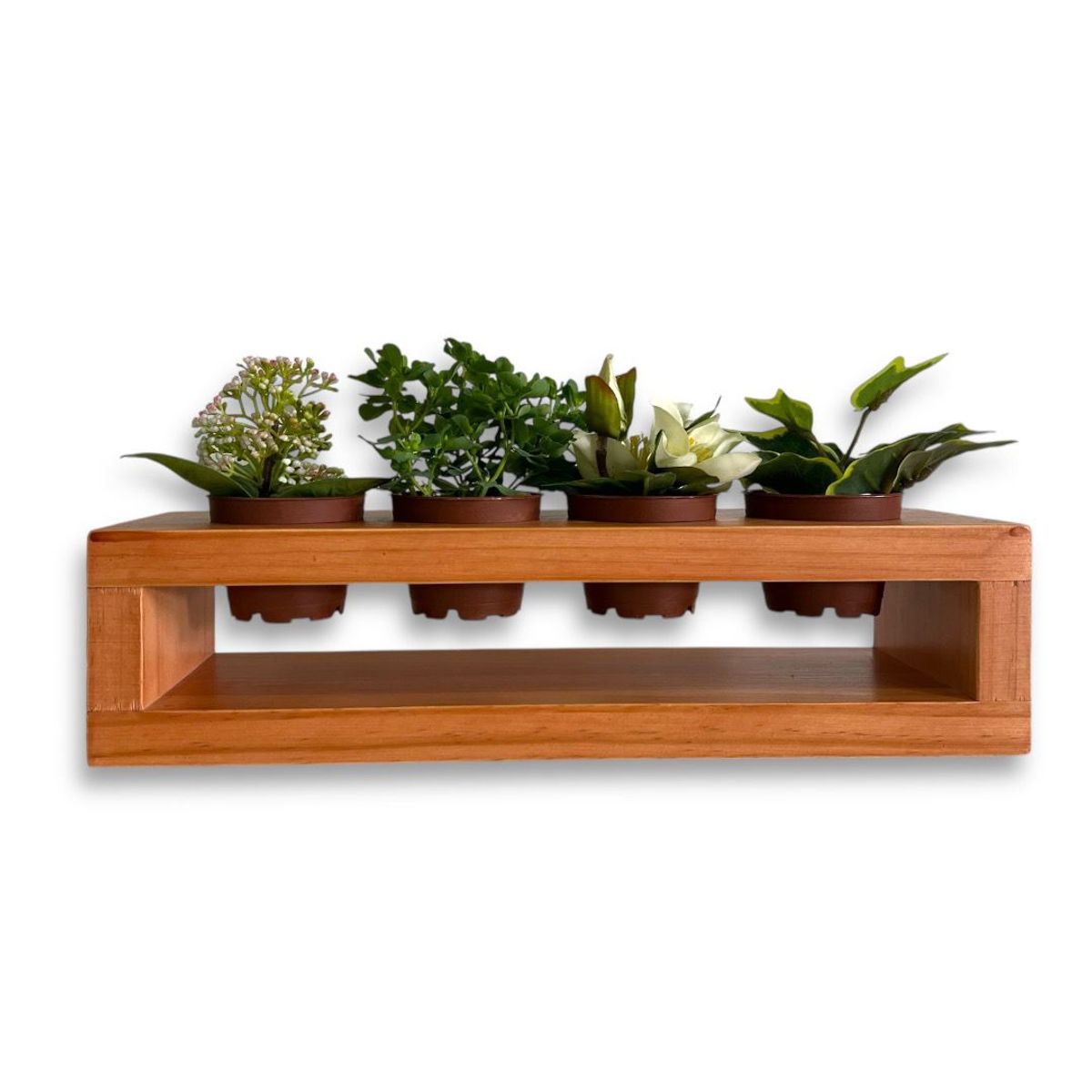 GENERICO - Porta macetero de 4 espacios para suculentas en madera color lenga