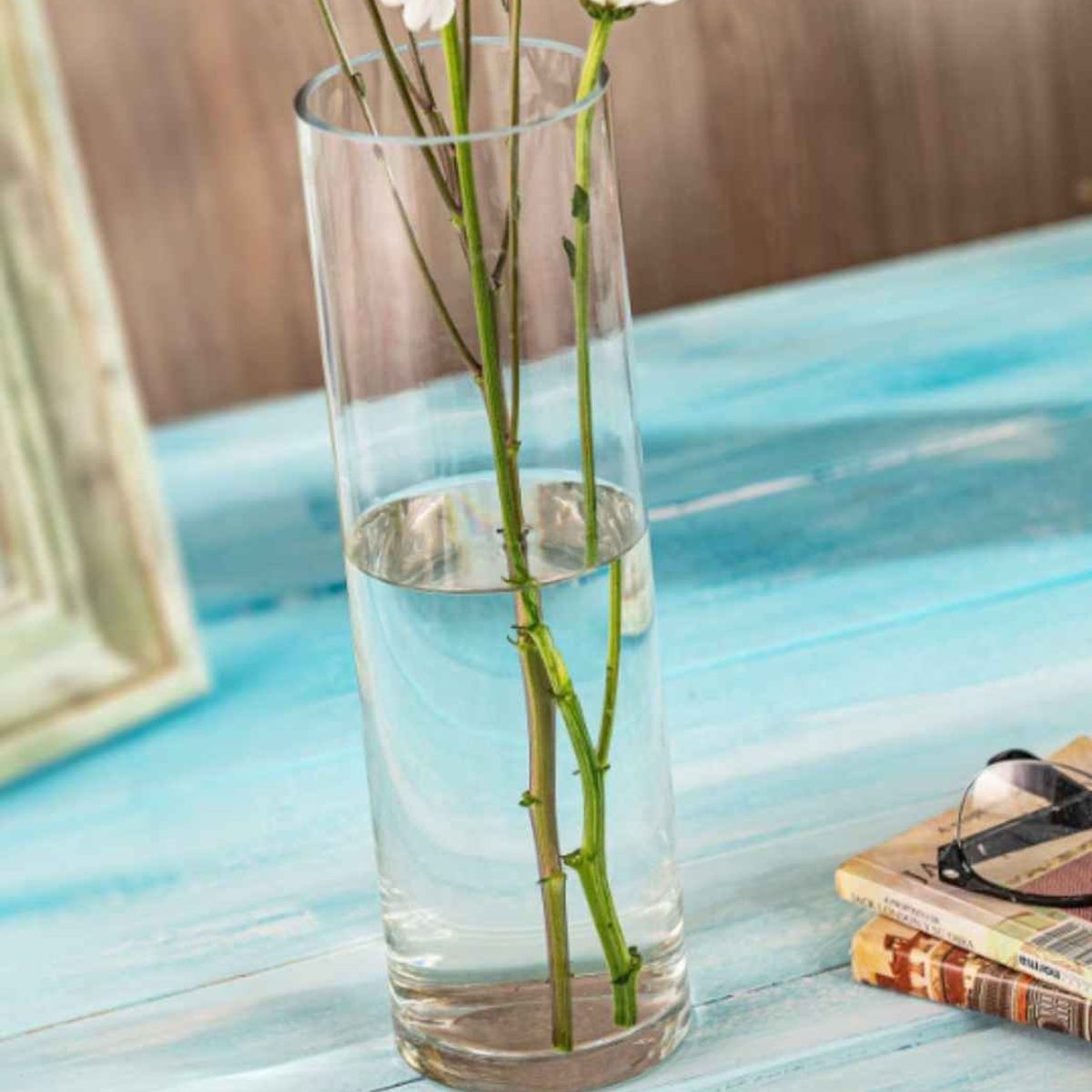 ALLEGRA - Florero De Vidrio Liso Cilindro 25 cm