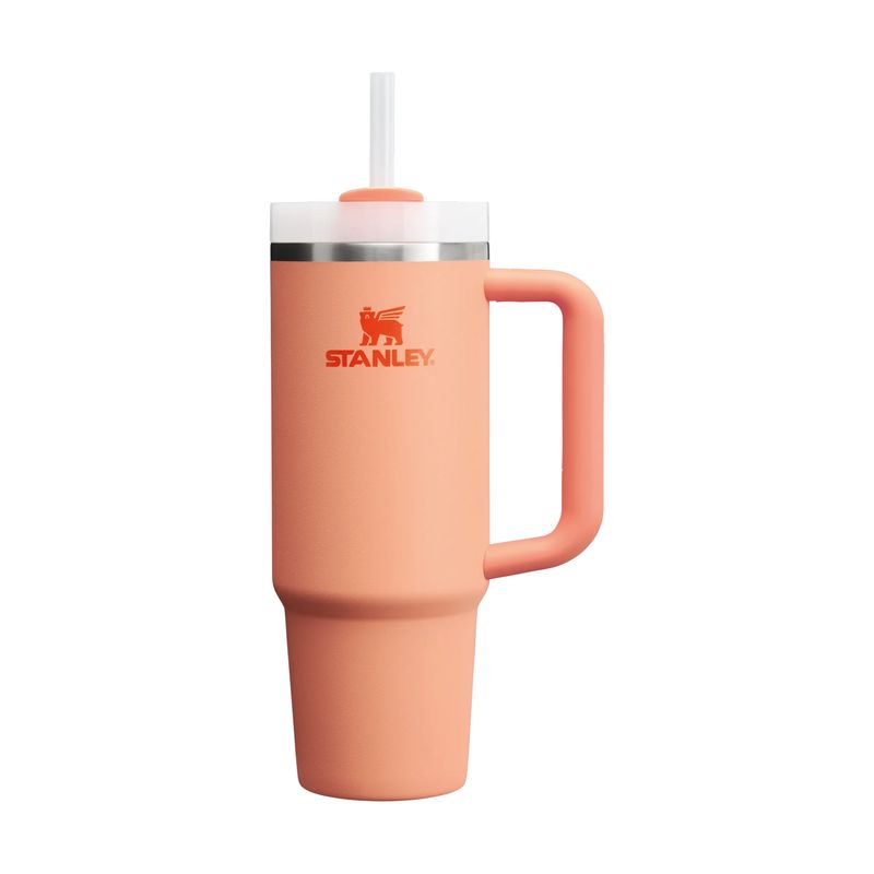 STANLEY - Quencher H20 Adventure Nectarine - 887 ml - Naranjo