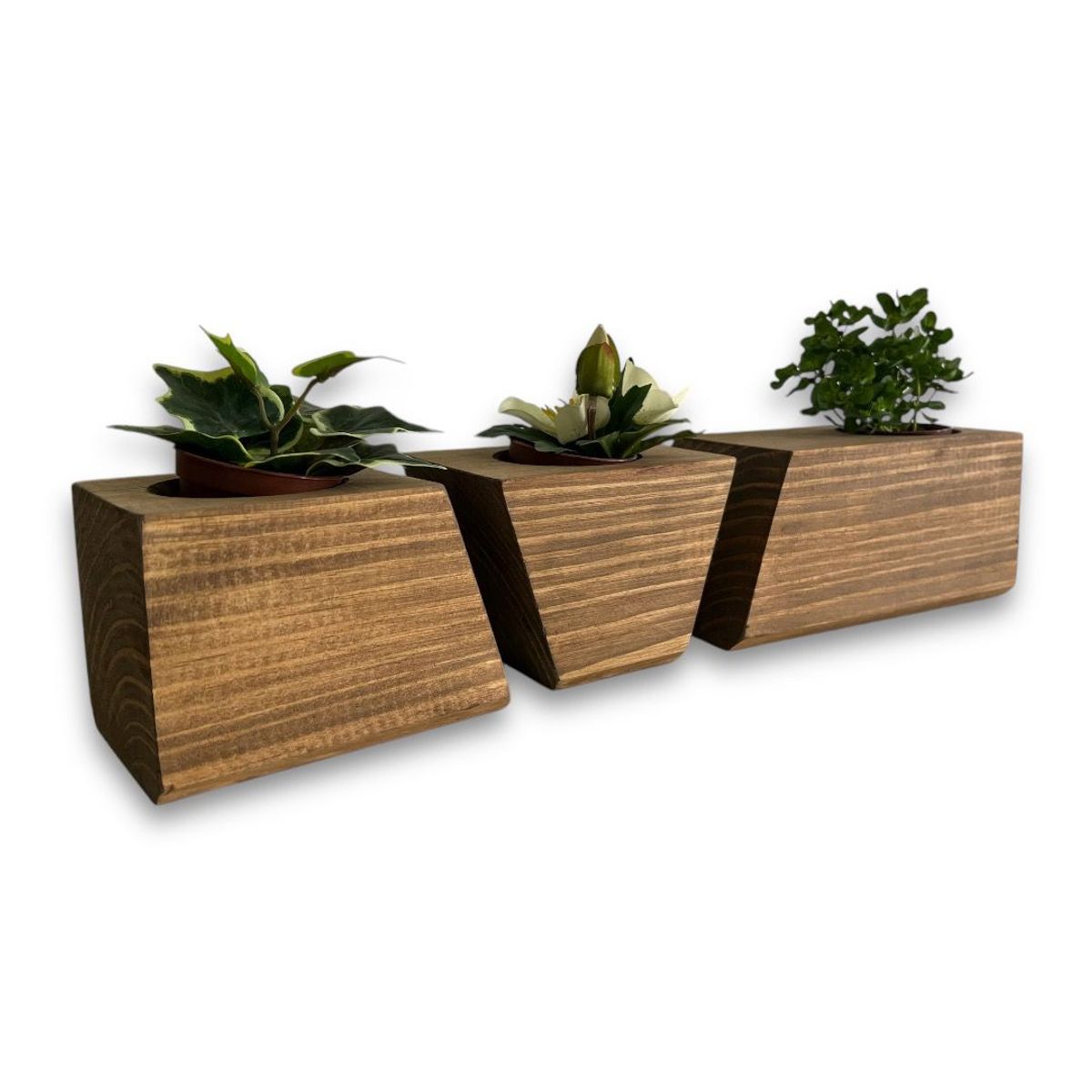 GENERICO - Porta macetero lingot3 de madera para suculentas color nogal