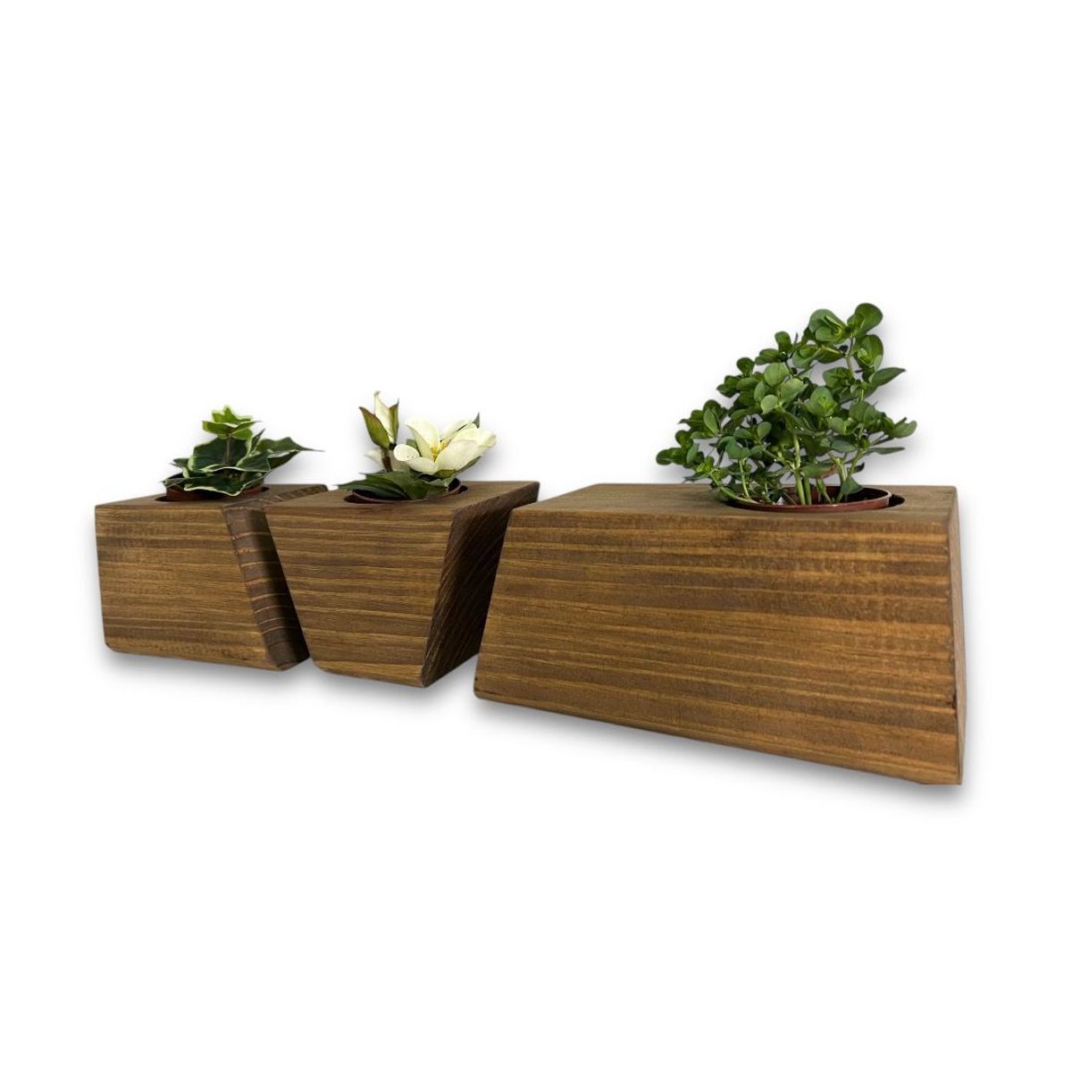 GENERICO - Porta macetero lingot3 de madera para suculentas color nogal