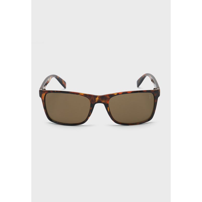 ARROW - Anteojos De Sol Tortoise dark Arrow ARROW