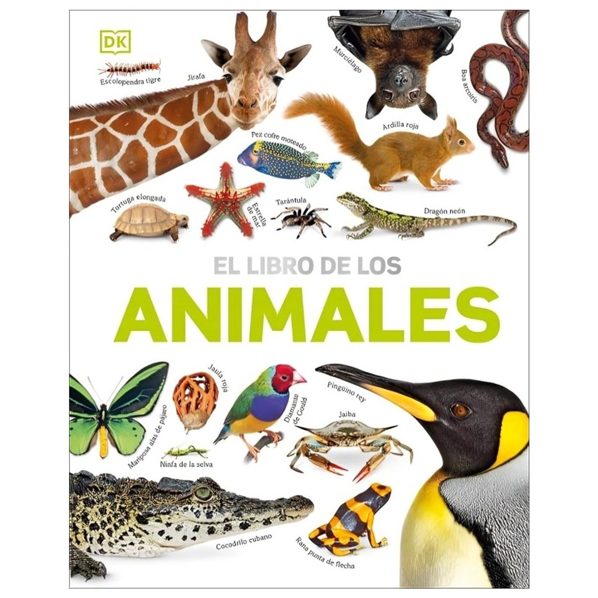 TOP10BOOKS - LIBRO El Libro De Los Animales - El Libro De Los Animales