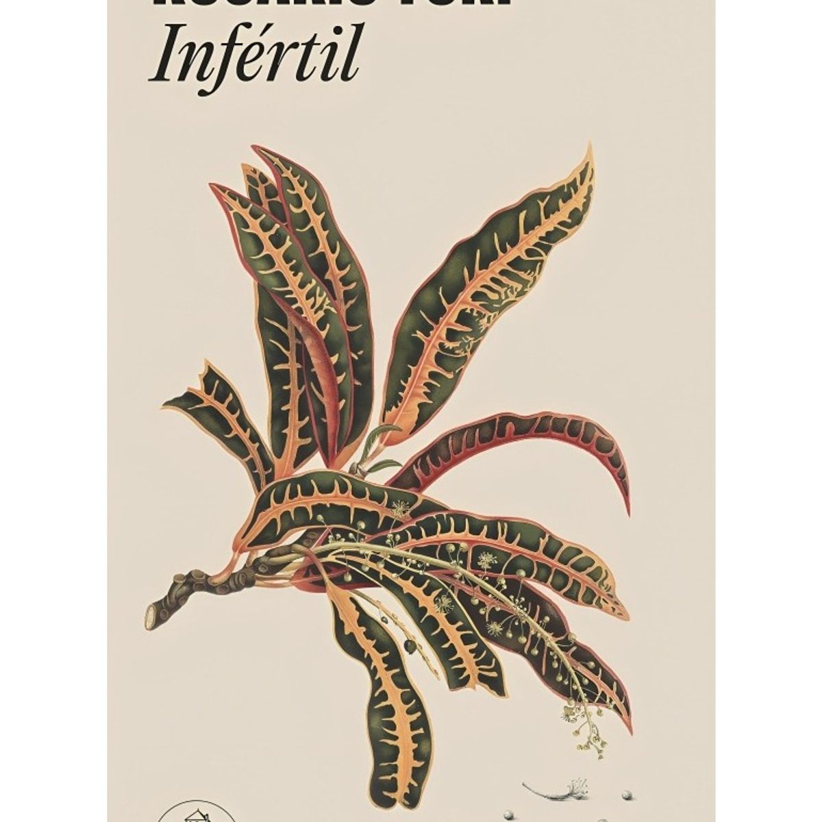 TOP10BOOKS - LIBRO Infertil - Infertil