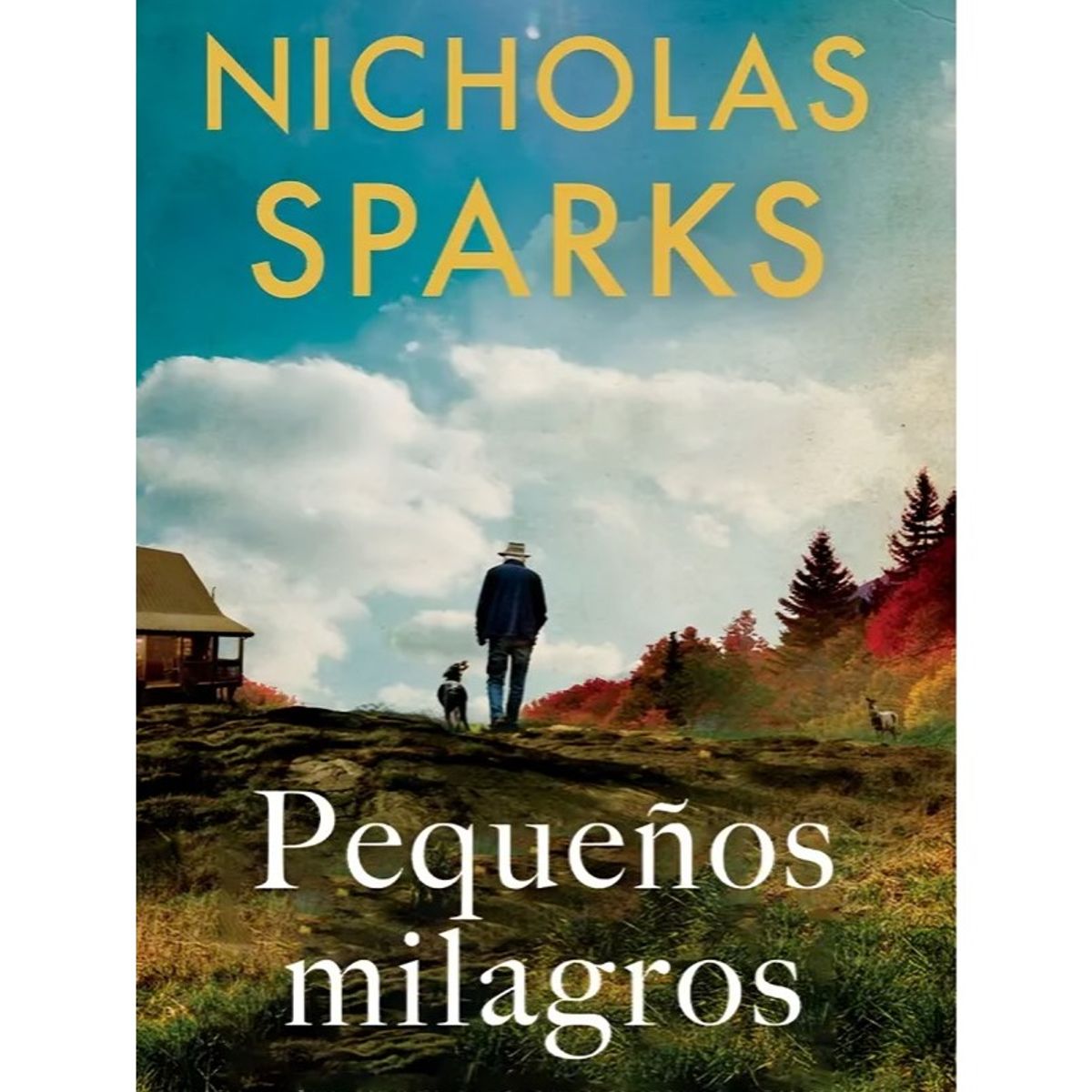 TOP10BOOKS - LIBRO Pequeños Milagros - Pequeños Milagros