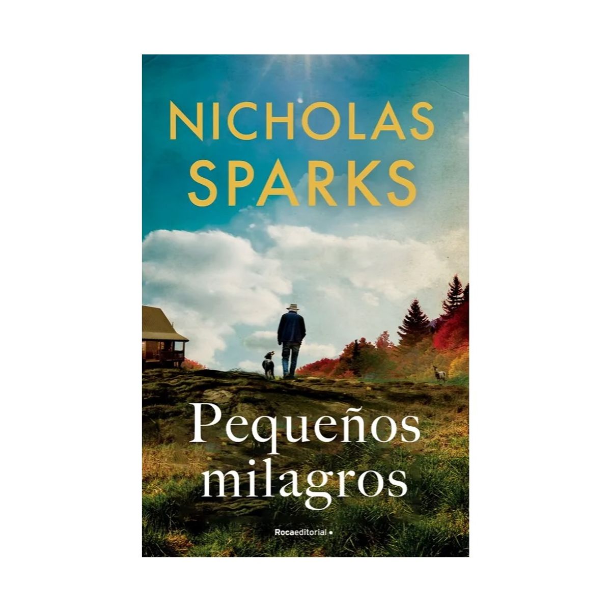 TOP10BOOKS - LIBRO Pequeños Milagros - Pequeños Milagros