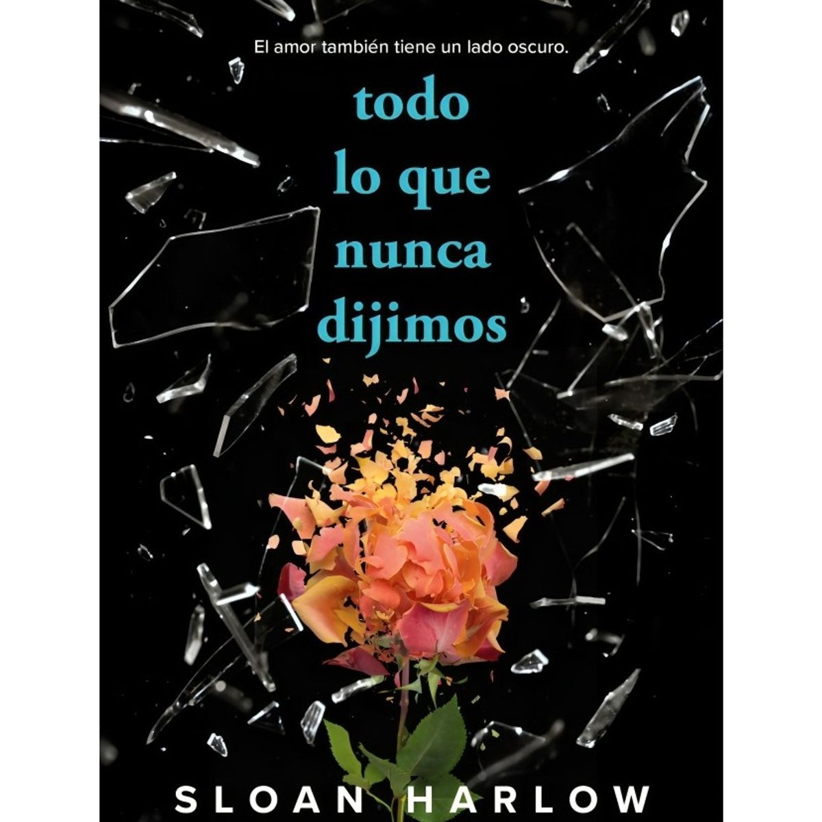 TOP10BOOKS - LIBRO Todo Lo Que Nunca Dijimos - Todo Lo Que Nunca Dijimos