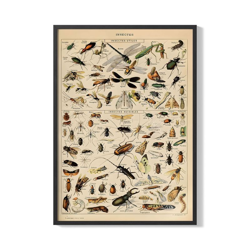 CREANGO - CUADRO POSTER INCEPTOS 33X43