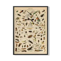 CREANGO - CUADRO POSTER INCEPTOS 33X43