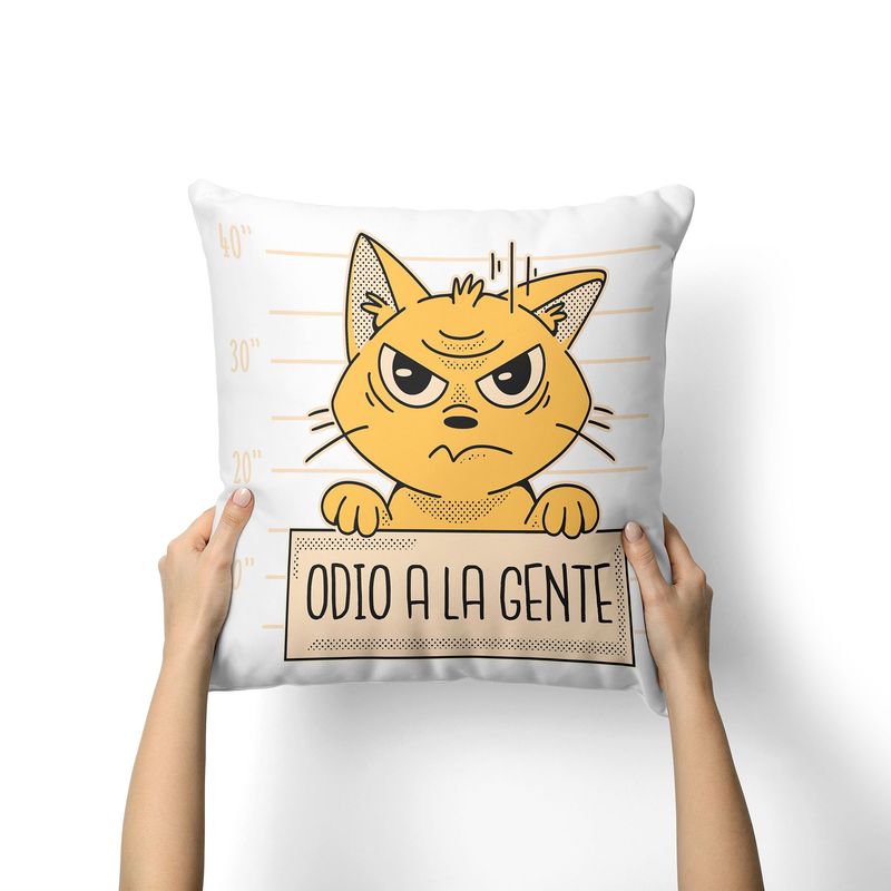 CREANGO - COJIN 40X40CM GATO QUE ODIA A LA GENTE