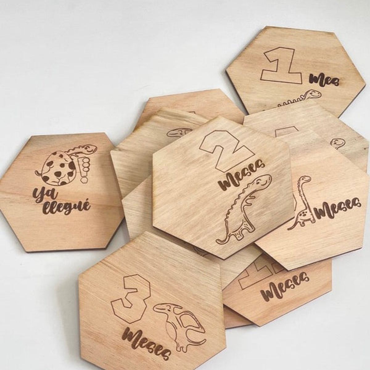 GENERICO - Placas de fotos dinosaurios