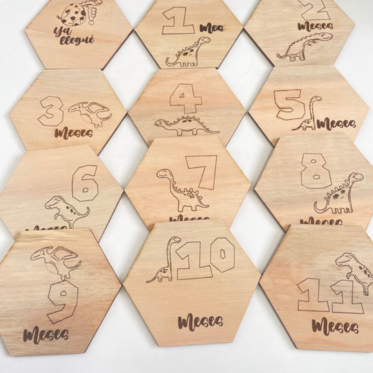 GENERICO - Placas de fotos dinosaurios