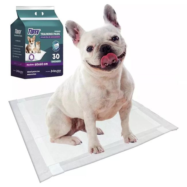 GENERICO - Sabanilla Alfombra Entrenamiento Para Mascota 60x60cm 30 Uni