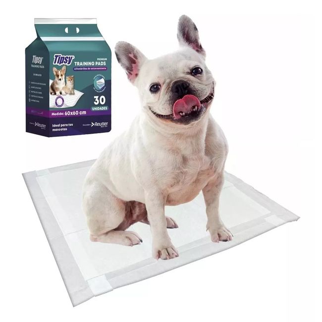 GENERICO - Sabanilla Alfombra Entrenamiento Para Mascota 60x60cm 30 Uni