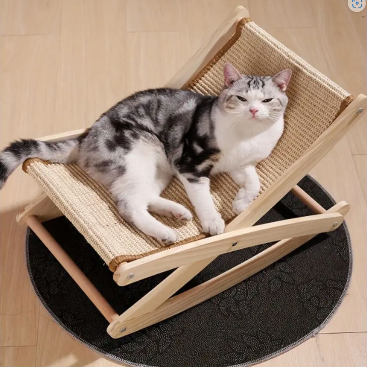 LERNEN - Silla Rascador Para Gatos