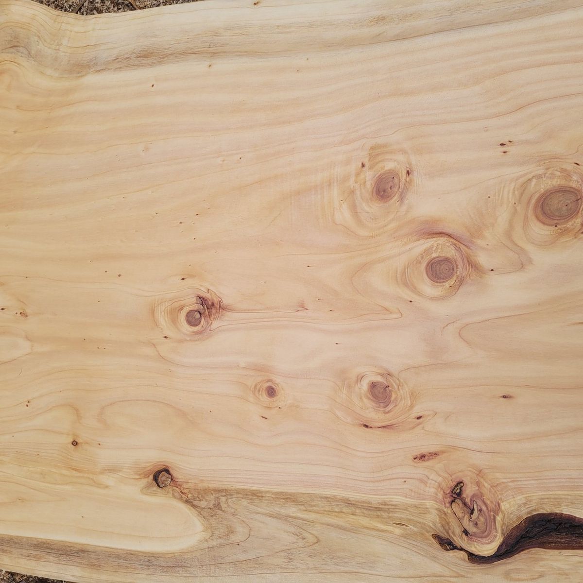 BOSQUE SUR SPA - Cubierta de Mesa Rústica Madera Ciprés Macrocarpa una pieza 230cmX60cm…