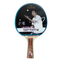 Paleta Ping Pong 4 Estrellas