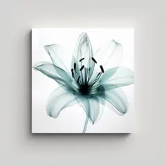 GENERICO - Cuadro De Equilibrio: Rayos-X De Lirio En Aqua 70x70 Cm