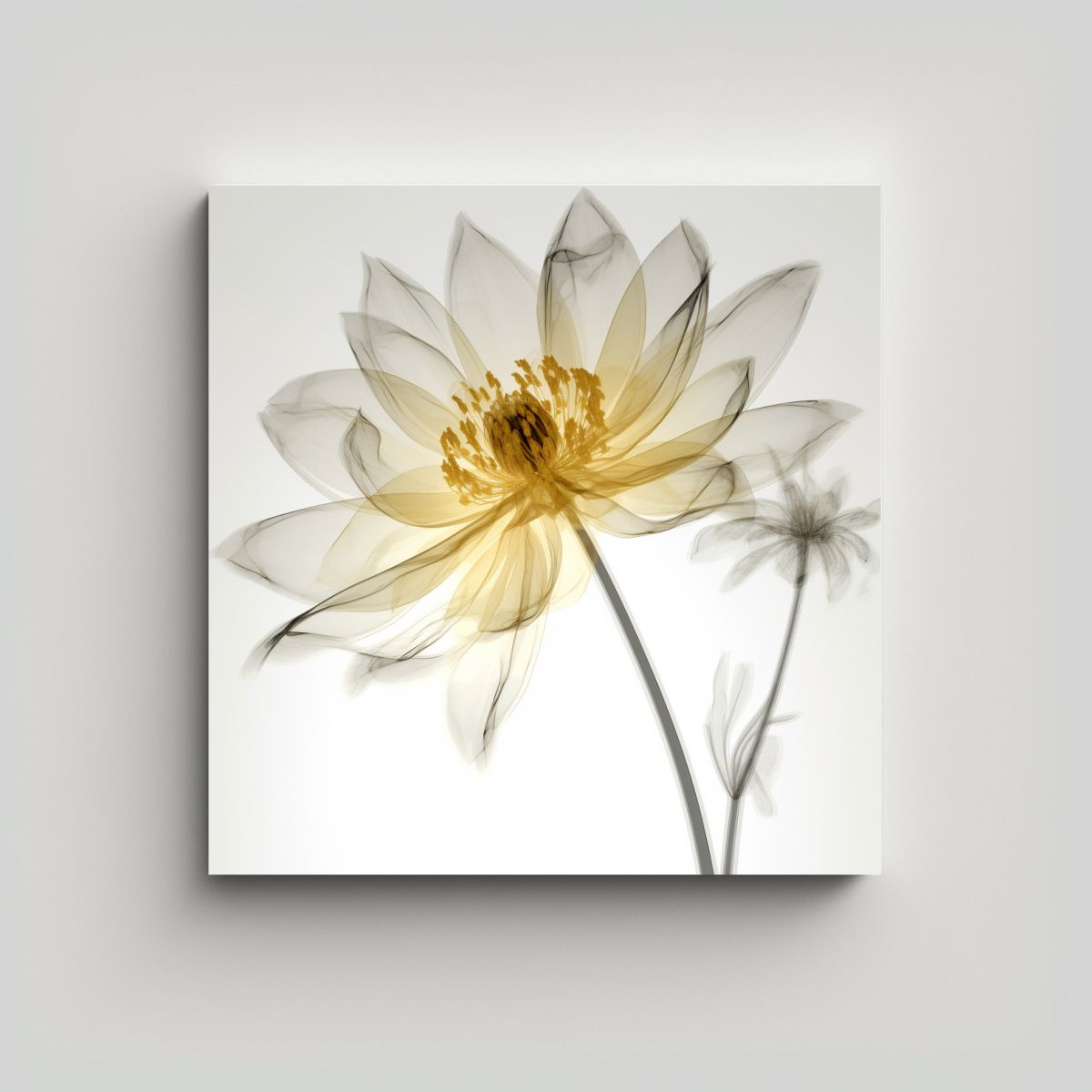 GENERICO - Composición Dinámica De Flores En Rayos X 50x50 Cm