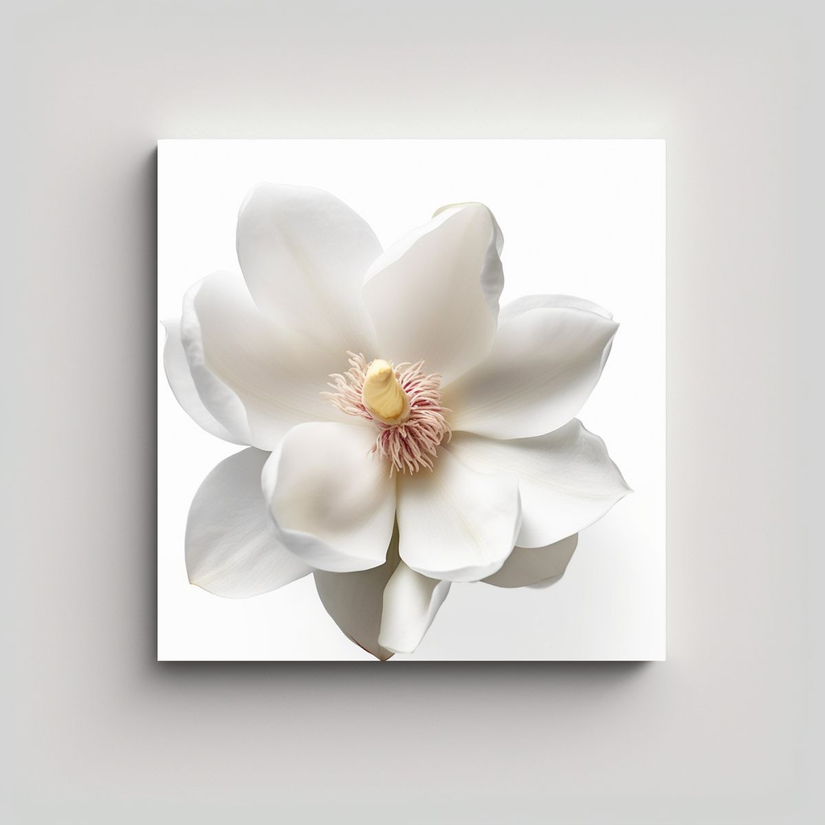 GENERICO - Ilustración Magnolia Época Cuadro Decorativo En 50x50 Cm