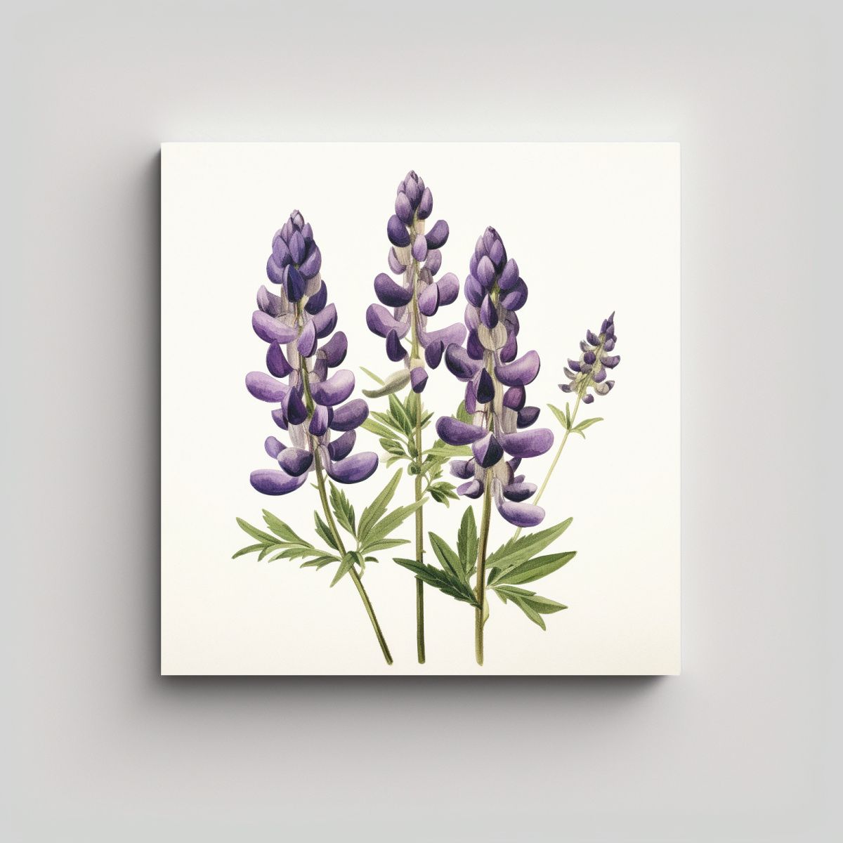 GENERICO - Ilustración Vintage De Lupinos Púrpura En Arte 40x40 Cm