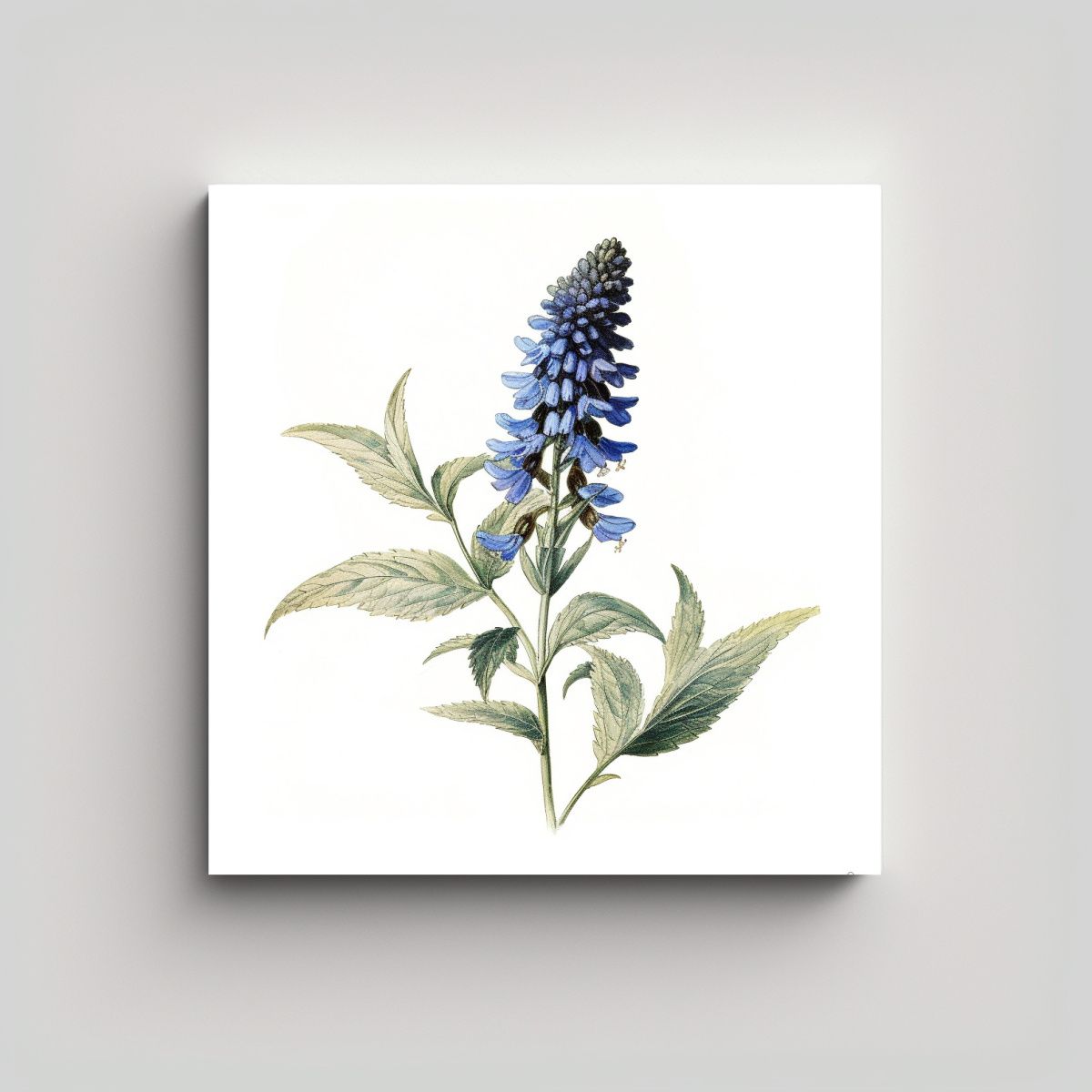 GENERICO - Ilustración Vintage De Veronica Audubo En Arte 40x40 Cm