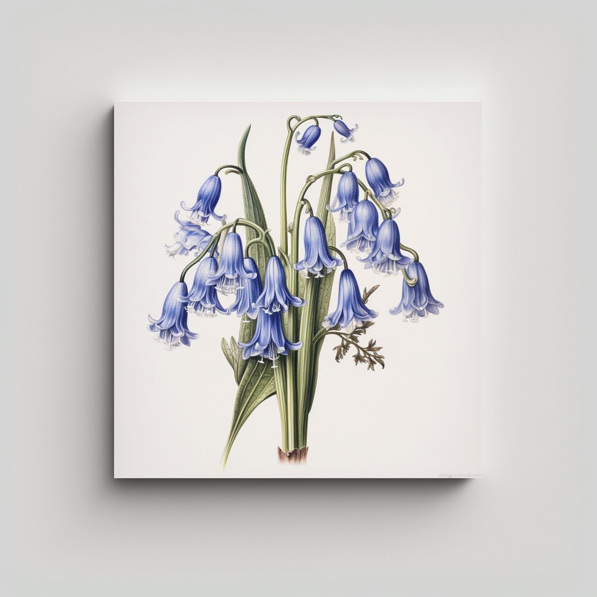 GENERICO - Ilustración Botánica Detallada De Bluebells En 40x40 Cm