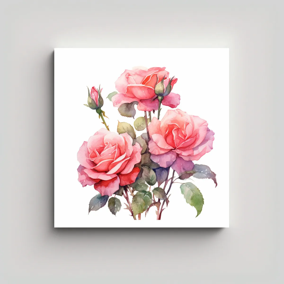 GENERICO - Cuadro Decorativo De Rosa Bush En Acuarela Rosa - 50x50 Cm