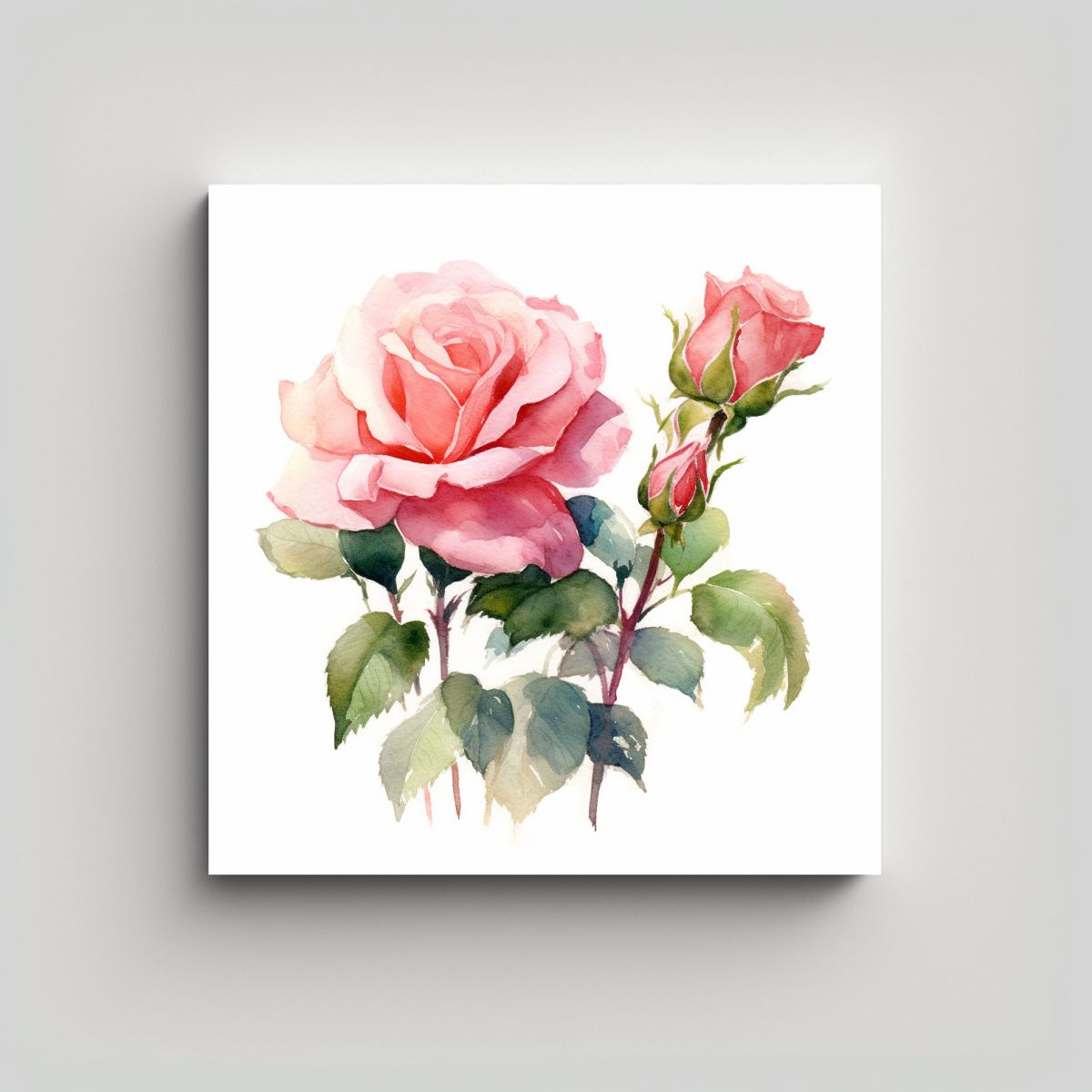 GENERICO - Cuadro Decorativo Rosa Rosa Acuarela: Arte Y 50x50 Cm