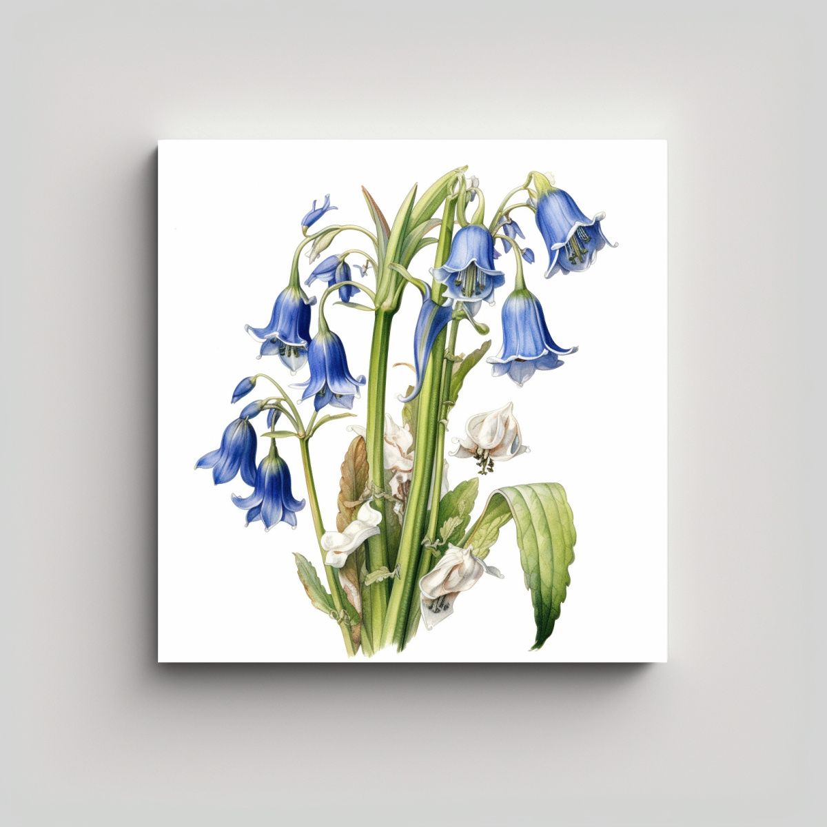 GENERICO - Ilustración Botánica De Bluebell En Lienzo De 70x70 Cm