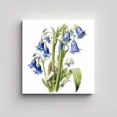 GENERICO - Ilustración Botánica De Bluebell En Lienzo De 30x30 Cm
