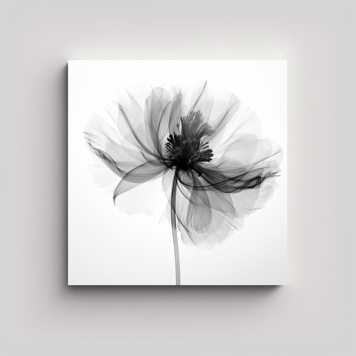 GENERICO - Creación De Cuadro Texturizado En Blanco Y Negro 70x70 Cm