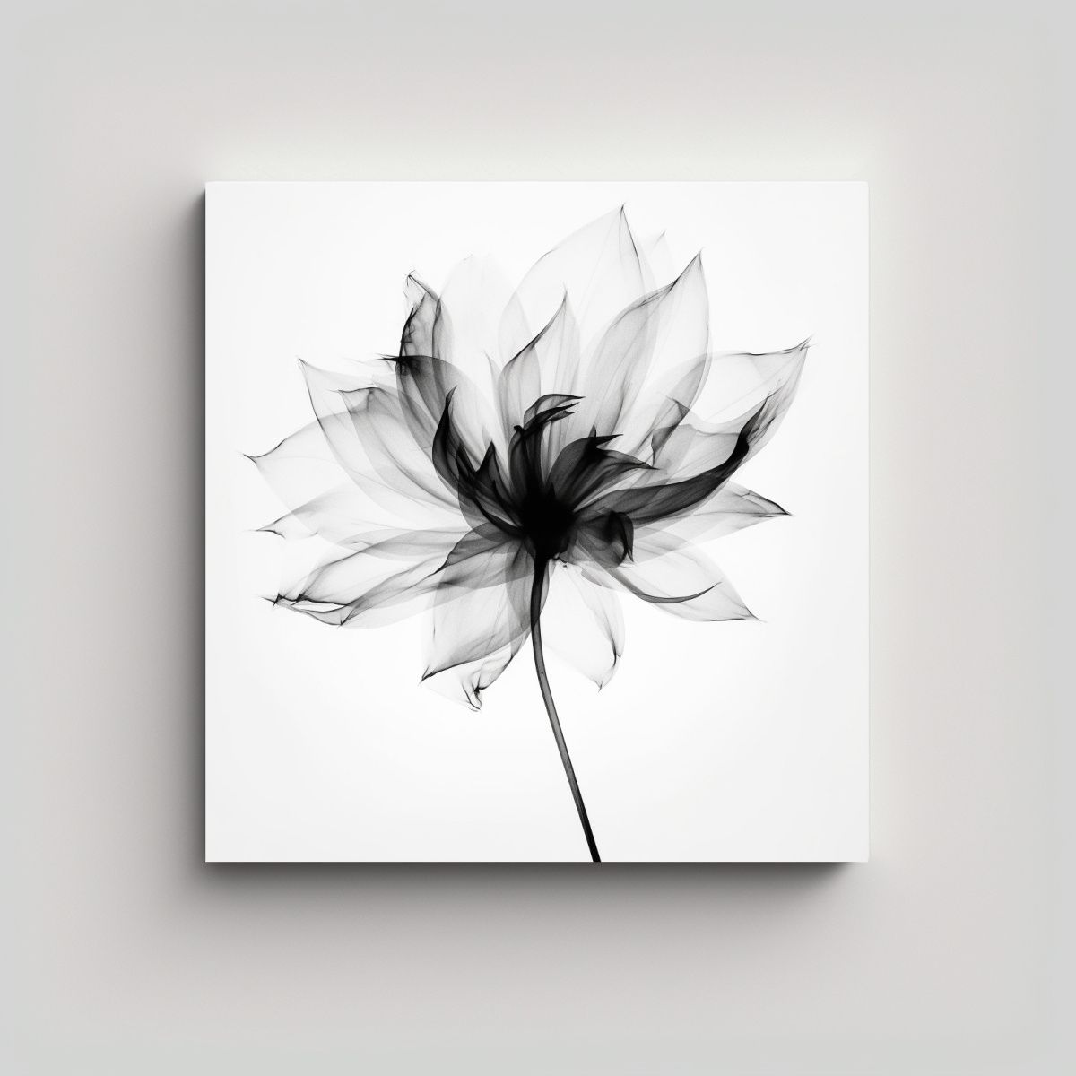 GENERICO - Arte De Pared Abstracto: Flor Xray En Blanco Y 50x50 Cm