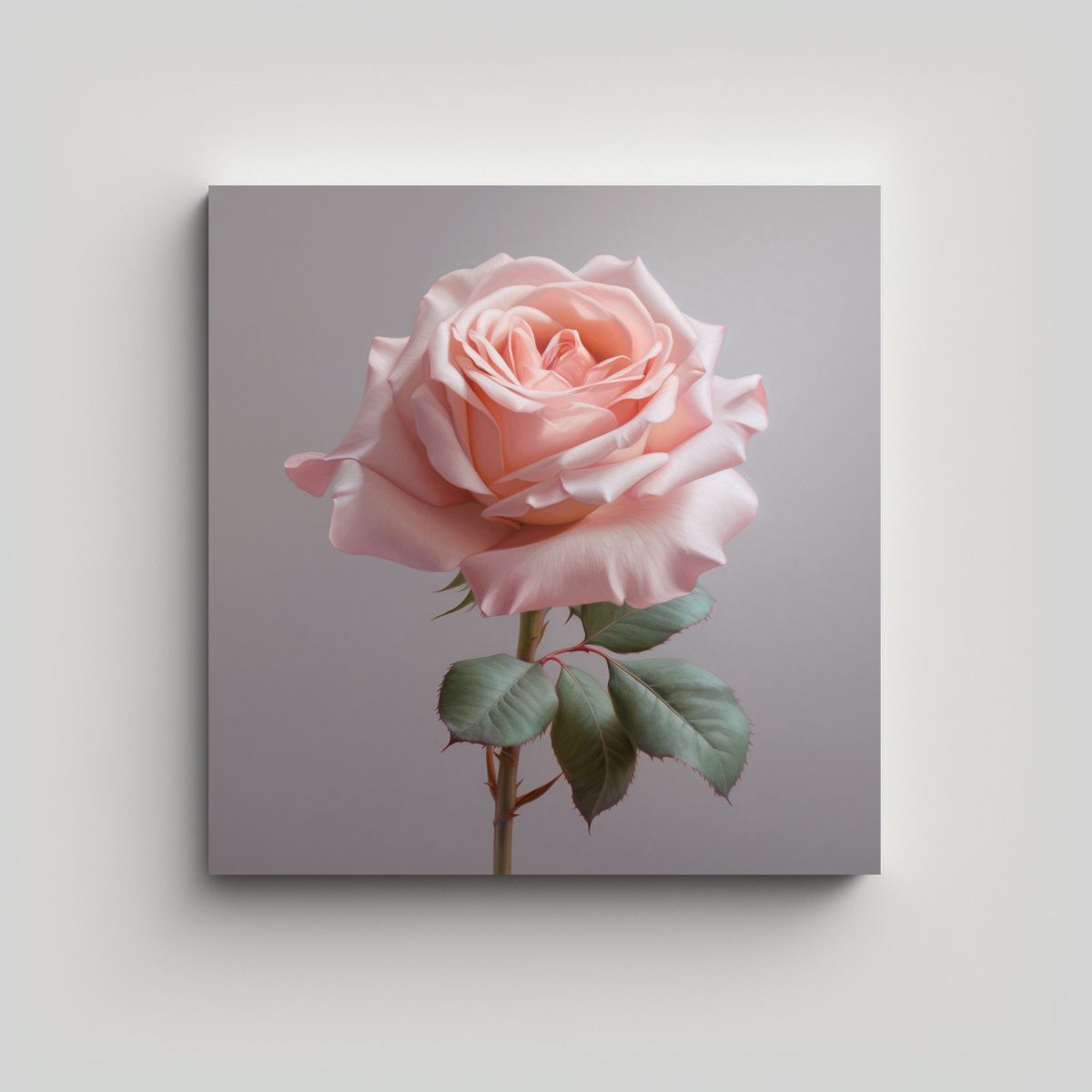 GENERICO - Cuadro Esquema De Finas Líneas En Rosa Pastel - 70x70 Cm