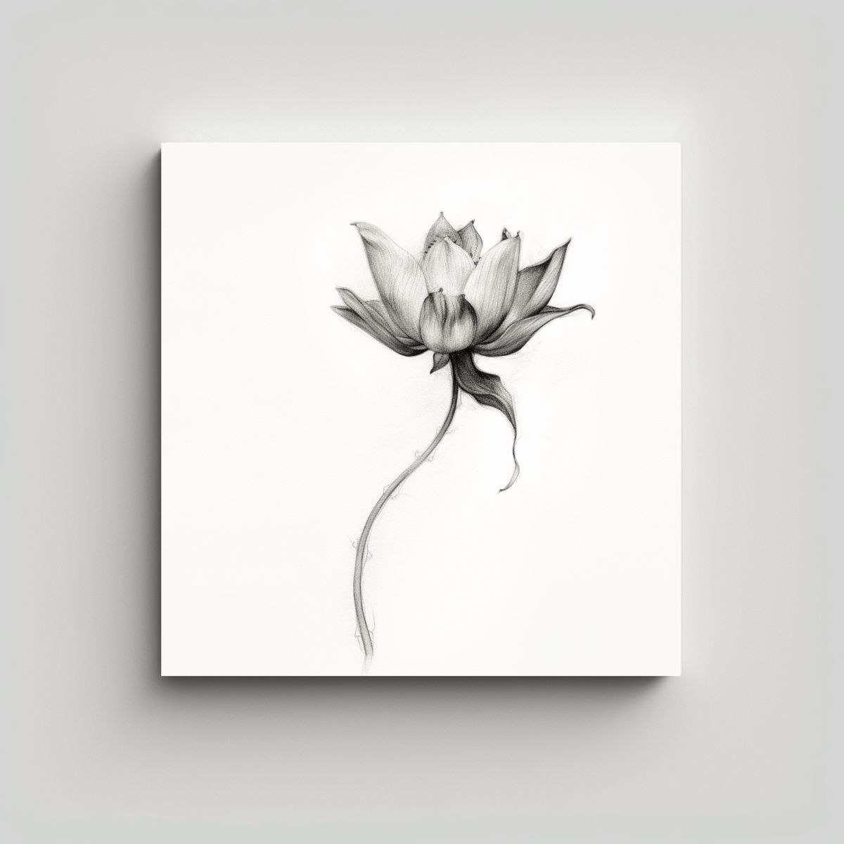 GENERICO - Composición Lotus Marchito Alegre Abstracto Arte 50x50 Cm