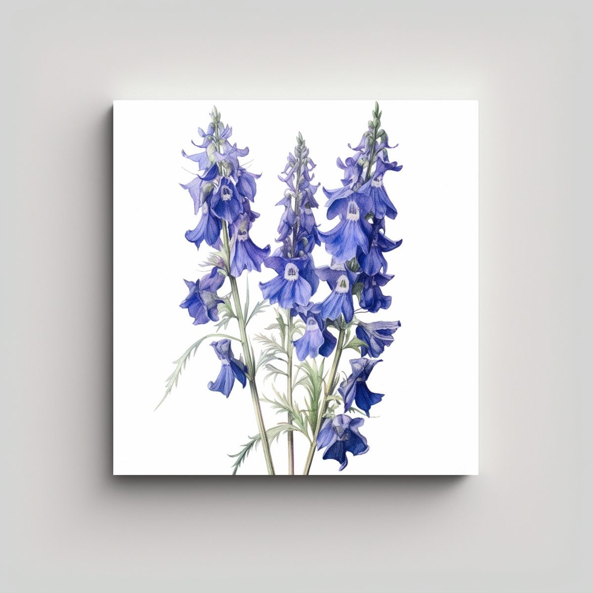 GENERICO - Dibujo Soñador De Flores Larkspur En Lienzo 50x50 Cm
