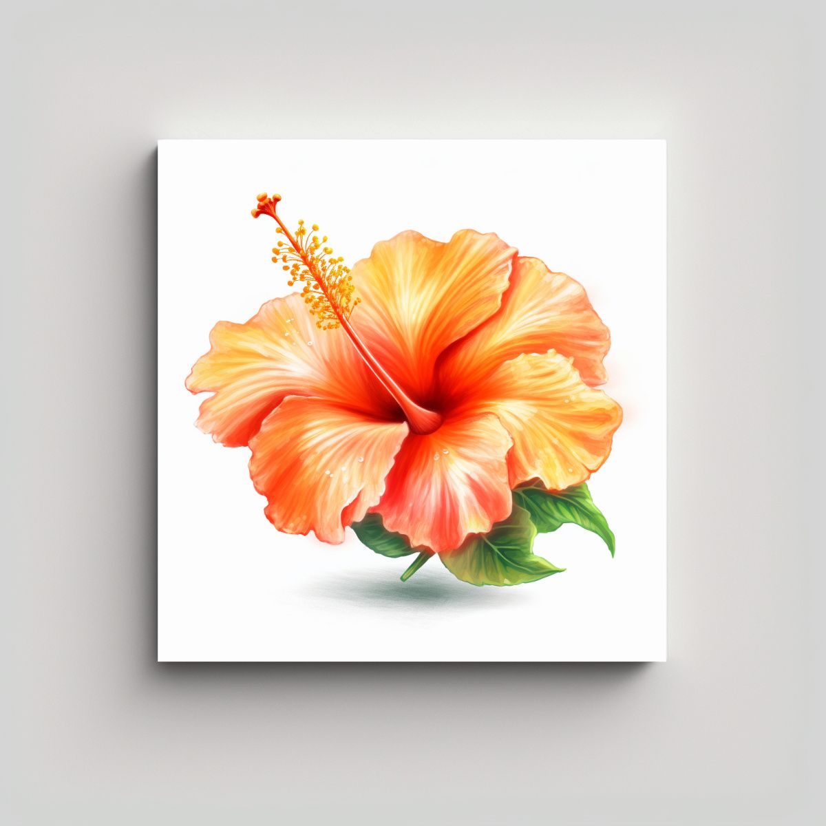 GENERICO - Finas Lineas Exposición Hibisco Realista Fondo 90x90 Cm