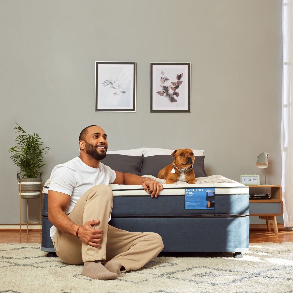 CIC - Box Americano Excellence Plus 1,5 Plazas + Muebles Gales Cic